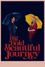 A Big Bold Beautiful Journey